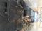 preview Volkswagen Crafter #4