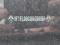 preview Renault Trafic #5