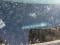 preview Ford Transit Custom #4