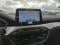 preview Ford Focus #1