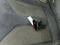 preview Skoda Enyaq #3