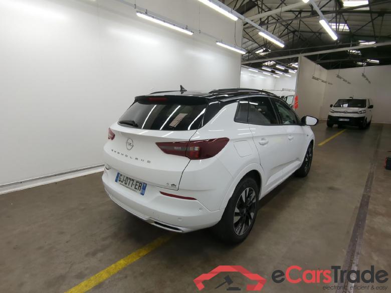 Grandland X Elegance Business 1.5 130CV BVA8 E6d #3 Grandland X Elegance Business 1.5 130CV BVA8 E6d #3