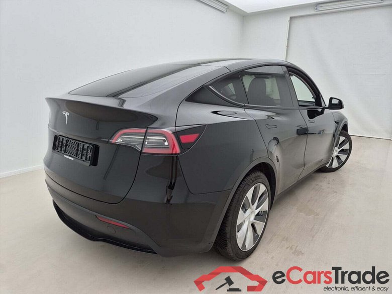 TESLA MODEL Y BASIS RDW #2